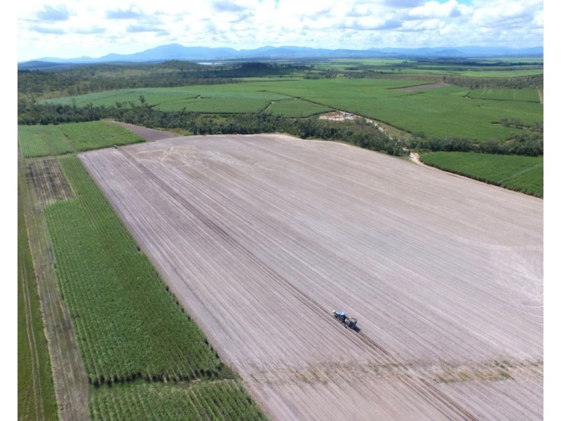 1426 Kelsey Creek Road, Proserpine QLD 4800