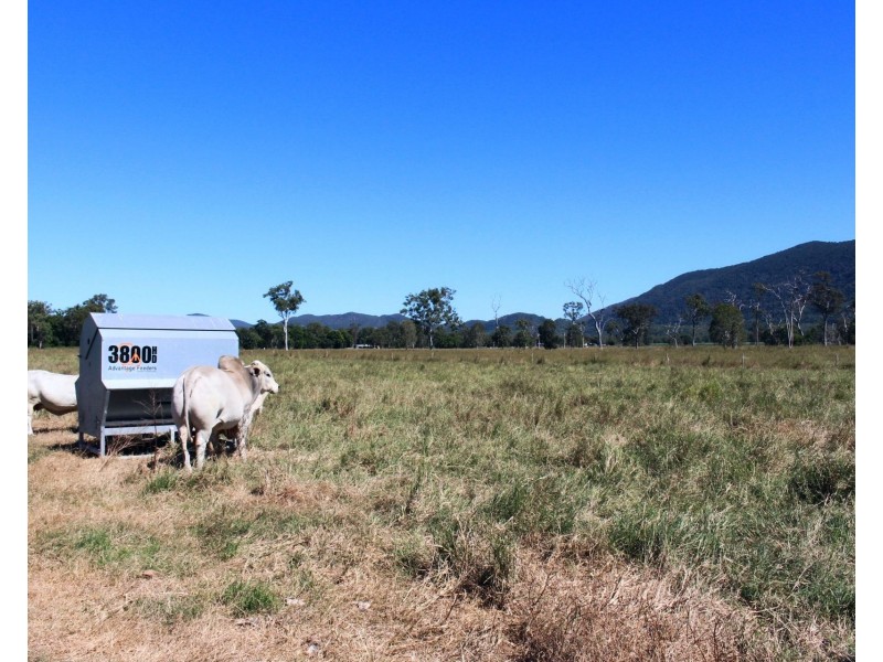 44 Johnson Road, Sarina QLD 4737