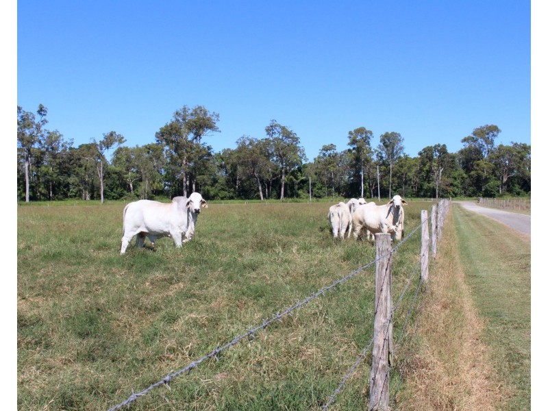 44 Johnson Road, Sarina QLD 4737