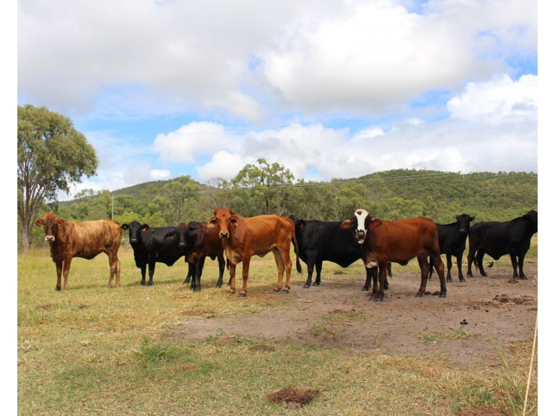 0 Bruce Highway, Carmila QLD 4739
