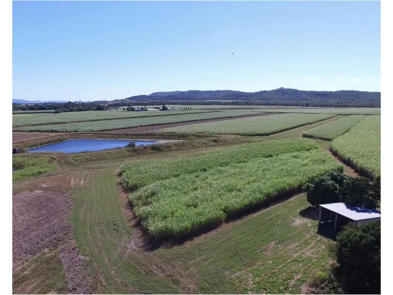 75 Cone Creek Road, Koumala QLD 4738