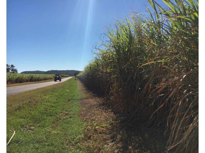 75 Cone Creek Road, Koumala QLD 4738