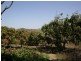Lot 8 Louisa Creek Road, Sarina QLD 4737