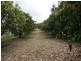 Lot 8 Louisa Creek Road, Sarina QLD 4737