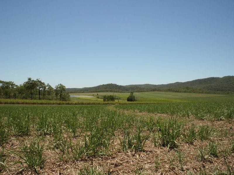 0 Campbell Road, Sarina QLD 4737