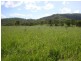 0 Running Creek Road, Sarina QLD 4737