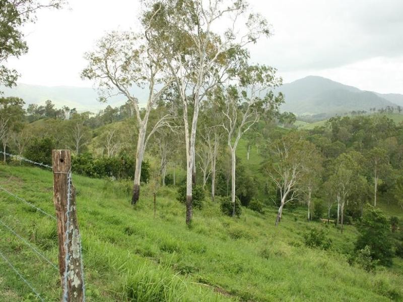 167 Bellas Road, Sarina QLD 4737