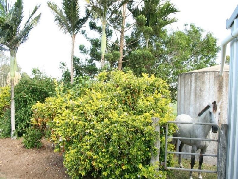 17 Coleshill Drive, Sarina QLD 4737