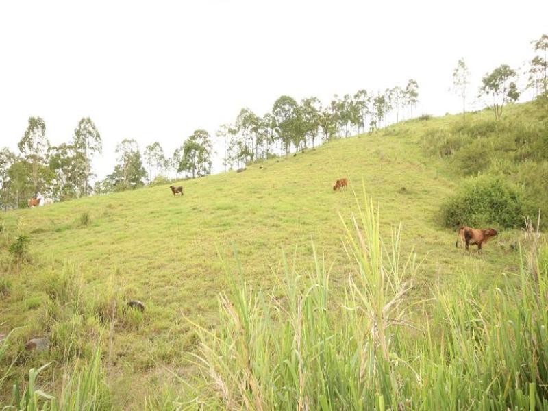 2 Oakey Creek Road, Sarina QLD 4737