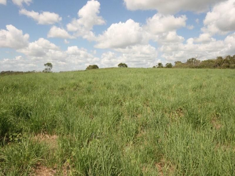 Lot 21 Ironsides Road, Sarina QLD 4737