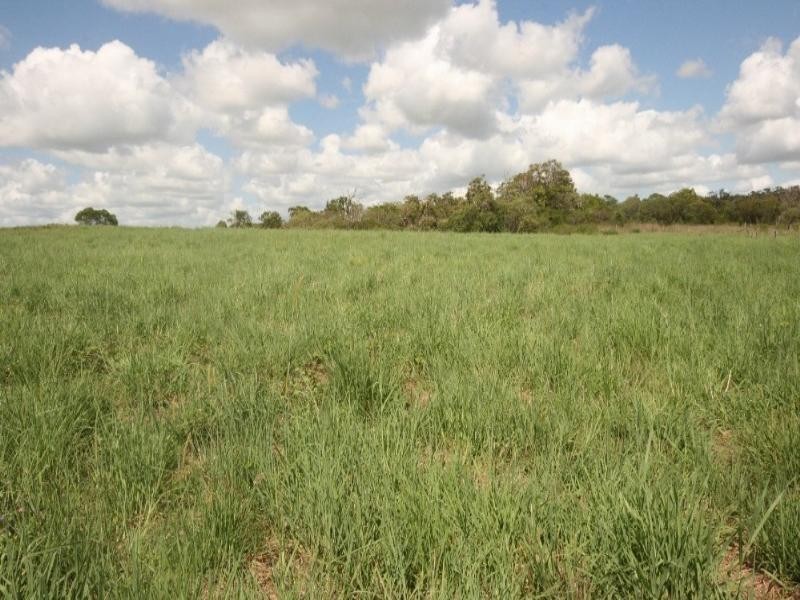 Lot 21 Ironsides Road, Sarina QLD 4737