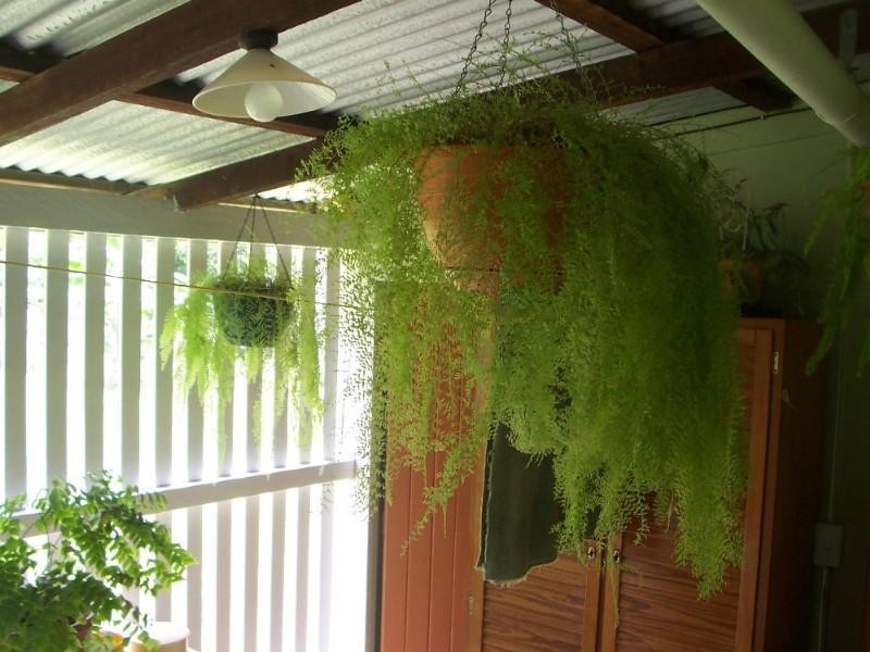 64 Range Road, Sarina QLD 4737