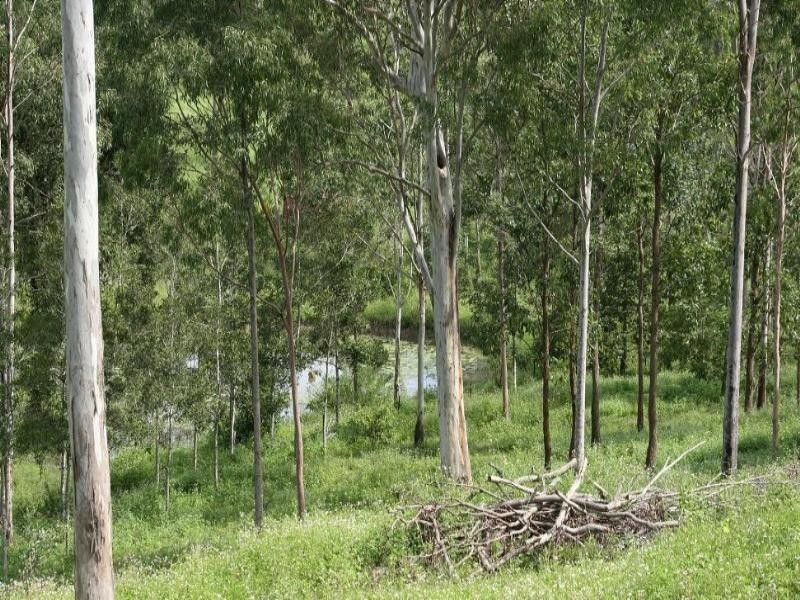 44 Lawries Road, Sarina QLD 4737