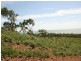8 Reef Court, Ilbilbie QLD 4738