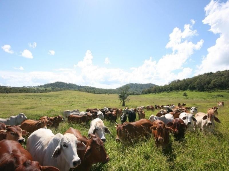 119 Finato Road, Sarina QLD 4737