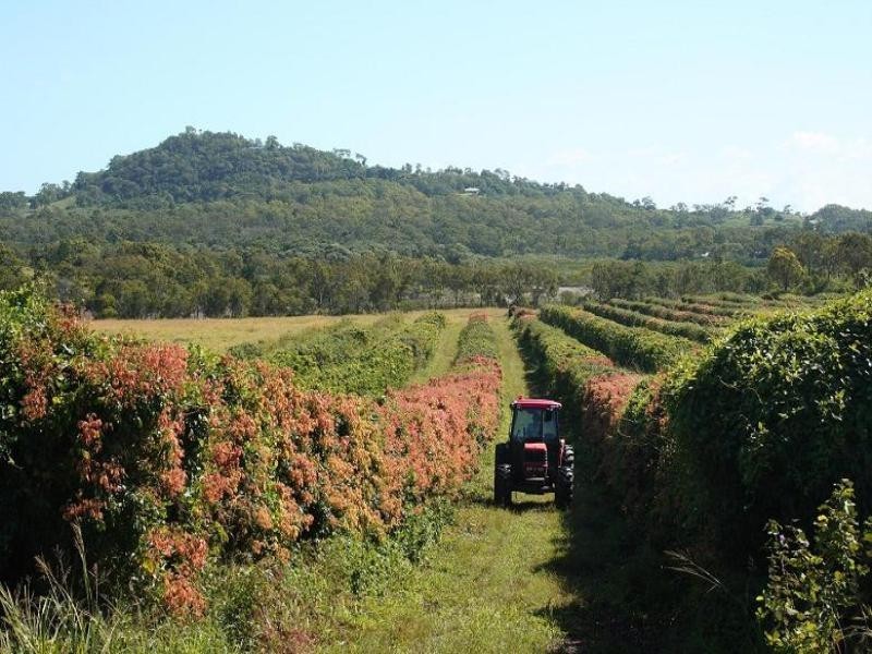 119 Finato Road, Sarina QLD 4737