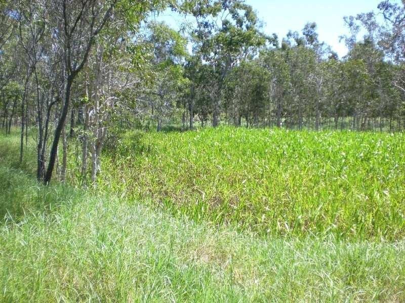 Lot 26 Greenhills Drive, Ilbilbie QLD 4738