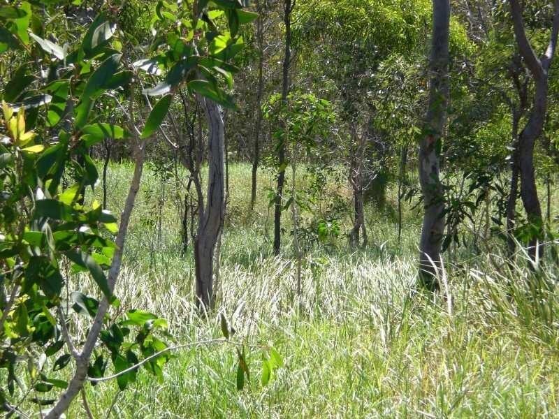 Lot 26 Greenhills Drive, Ilbilbie QLD 4738