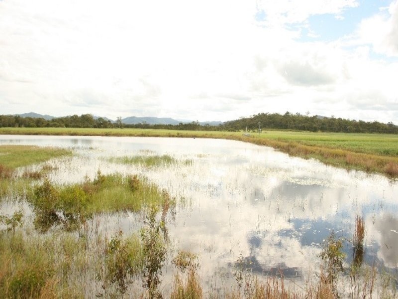 75 Cone Creek Road, Koumala QLD 4738