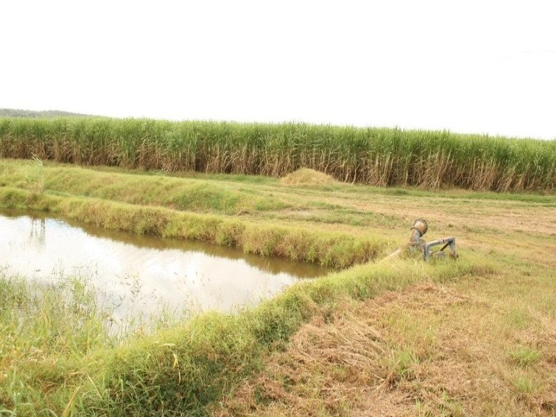 75 Cone Creek Road, Koumala QLD 4738