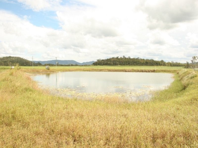 75 Cone Creek Road, Koumala QLD 4738