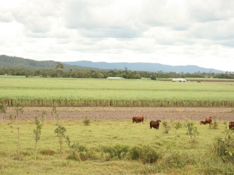 75 Cone Creek Road, Koumala QLD 4738