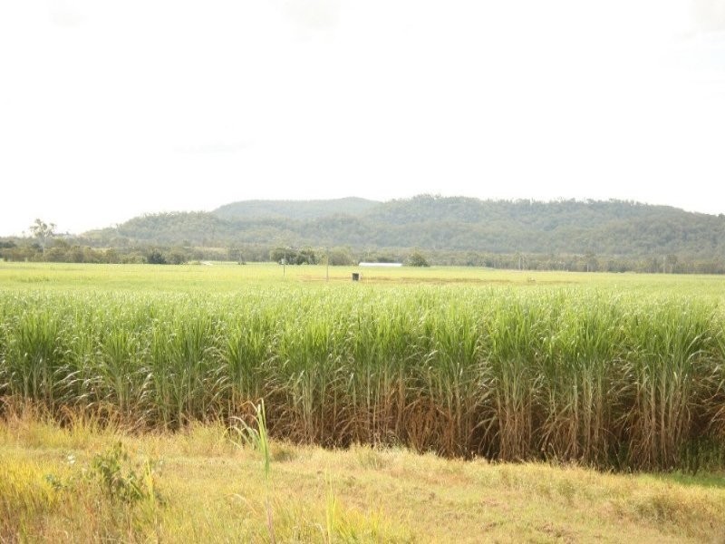 75 Cone Creek Road, Koumala QLD 4738