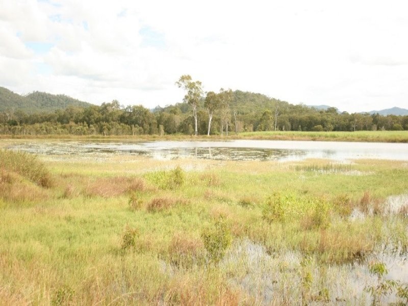 75 Cone Creek Road, Koumala QLD 4738