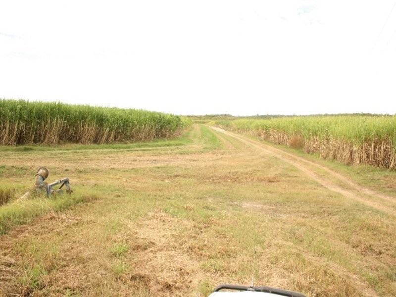 75 Cone Creek Road, Koumala QLD 4738