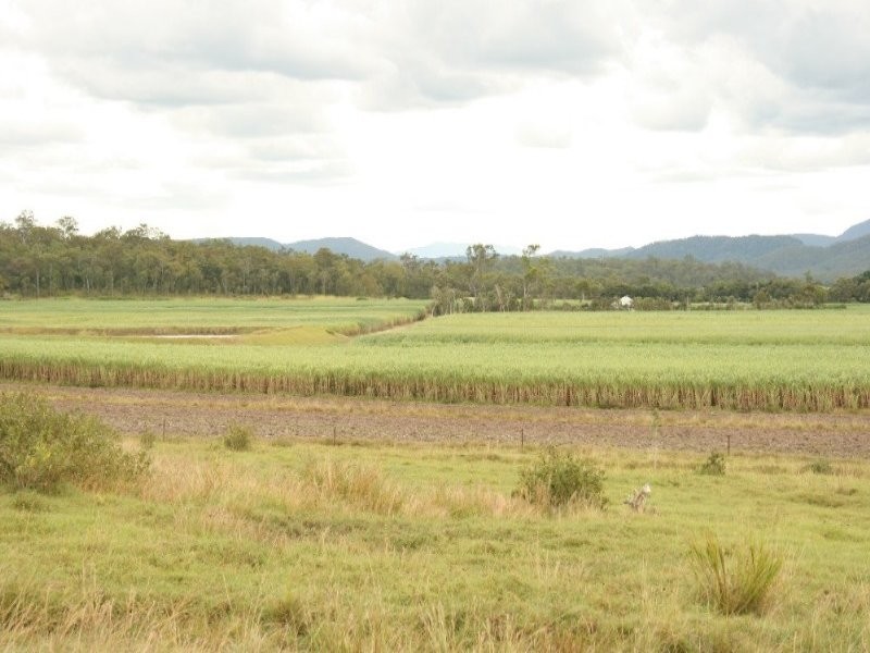 75 Cone Creek Road, Koumala QLD 4738