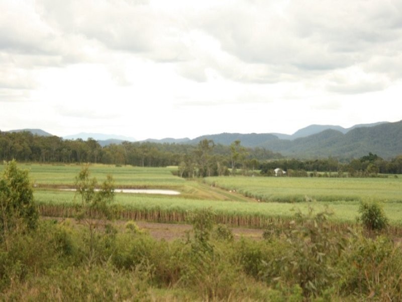 75 Cone Creek Road, Koumala QLD 4738