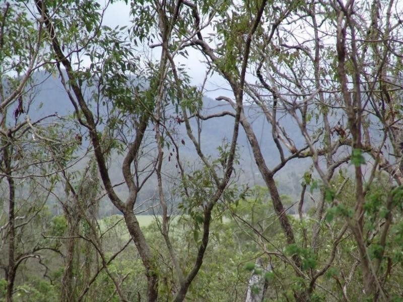 Sarina Range QLD 4737