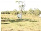 244 Marion Settlement Road, Ilbilbie QLD 4738