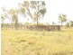 244 Marion Settlement Road, Ilbilbie QLD 4738