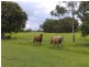 Lot 2 Greenhills Road, Ilbilbie QLD 4738