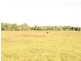 Lot 2 Greenhills Road, Ilbilbie QLD 4738