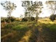 Sarina QLD 4737