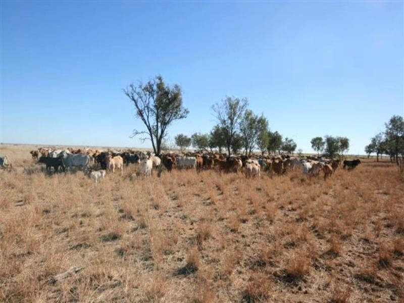 0 Aramac Road, Aramac QLD 4726