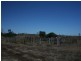 Clermont QLD 4721