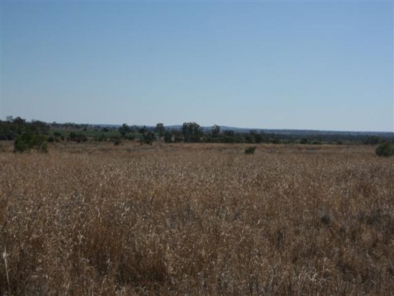 Clermont QLD 4721