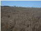 Clermont QLD 4721