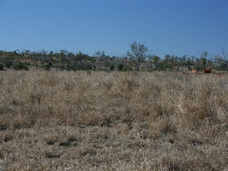 Clermont QLD 4721