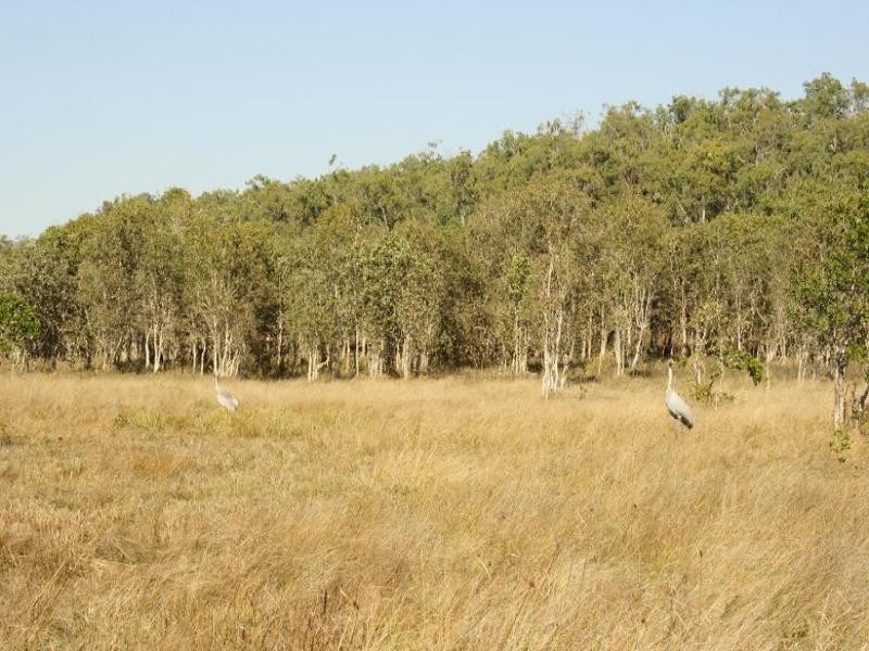 Sarina QLD 4737