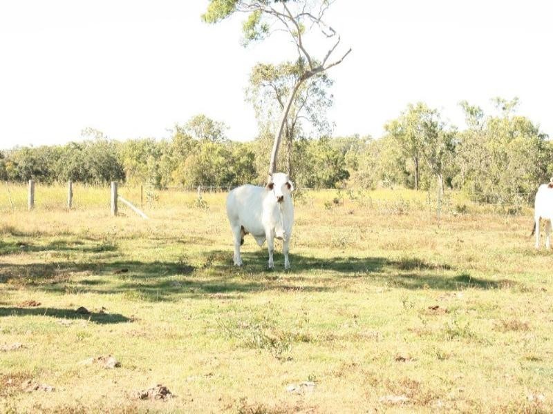 244 Marion Settlement Road, Mackay QLD 4740