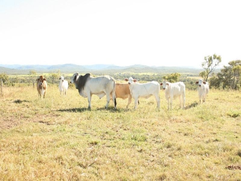 244 Marion Settlement Road, Mackay QLD 4740