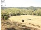 lot 3 Upper Alligator Creek Ro, Homebush QLD 4740