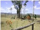 2550 Sarina/Marlborough Road, Sarina QLD 4737