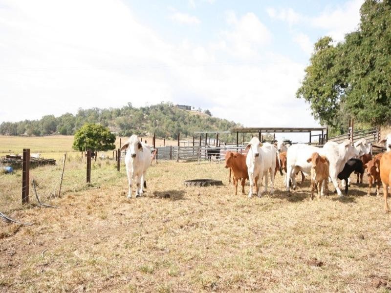 92053 Bruce Highway, Mackay QLD 4740