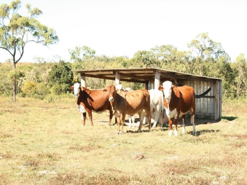 244 Marion Settlement Road, Mackay QLD 4740