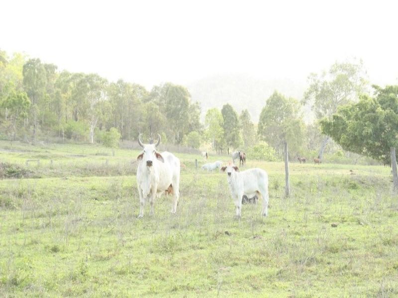 64 Ivan Johnson Road, Mackay QLD 4740